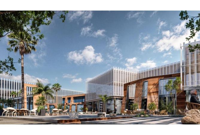 7906519 - صورة العقار 3