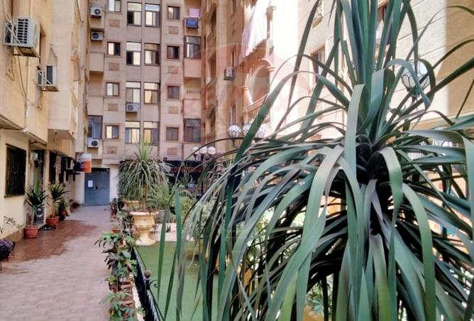 7904649 - صورة العقار 2