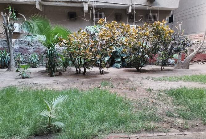 7906575 - الصورة الرئيسية للعقار