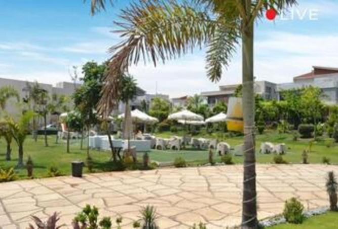 7907526 - صورة العقار 2