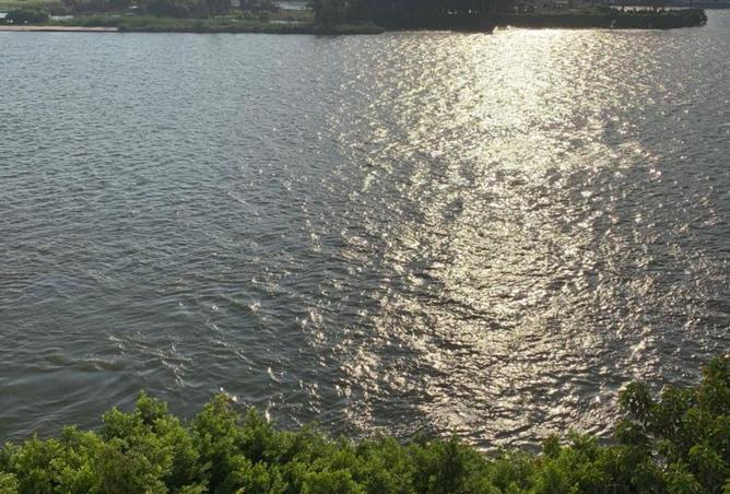 7907918 - صورة العقار 3