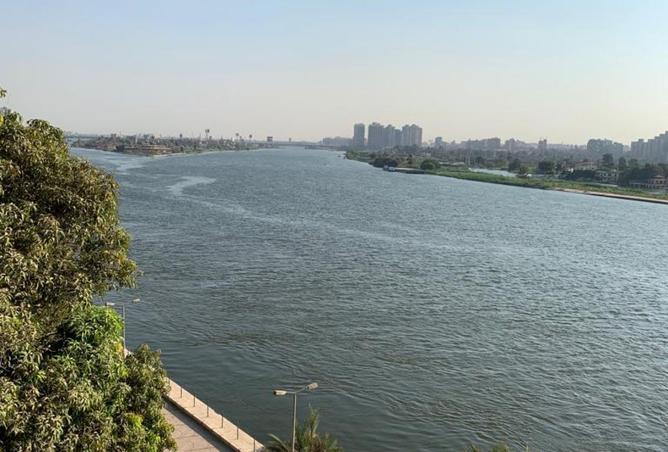 7907918 - صورة العقار 2