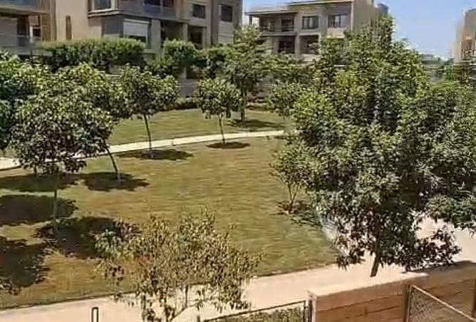 7908038 - الصورة الرئيسية للعقار