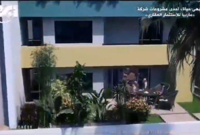 7908073 - صورة العقار 3