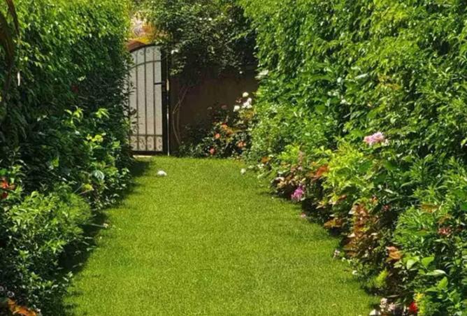 7908394 - Property Image 2