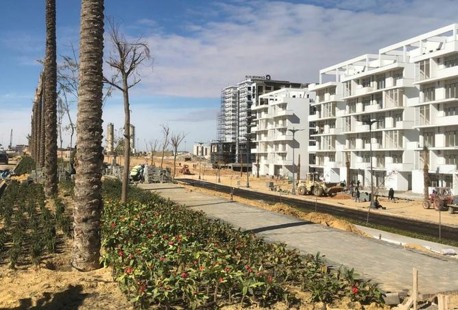 7908404 - صورة العقار 2