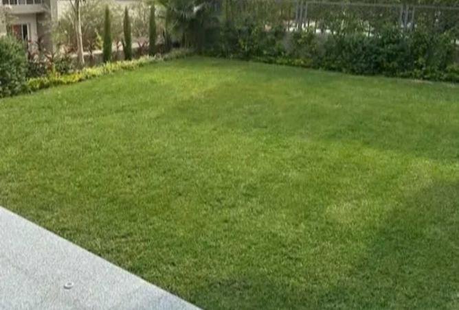 7933919 - صورة العقار 3