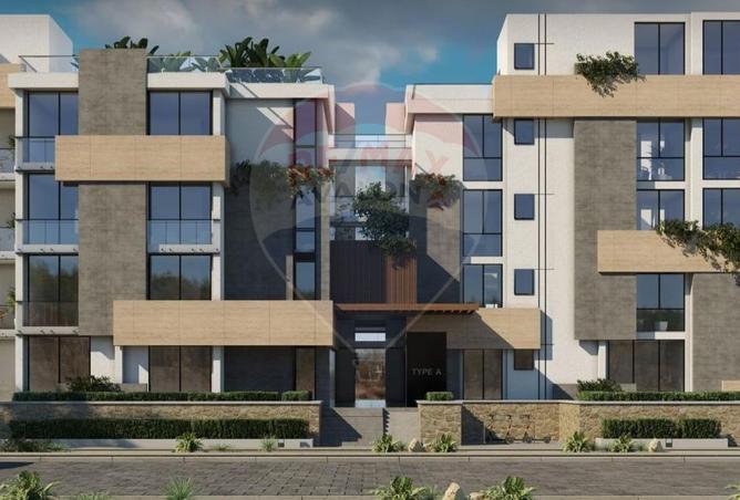 7910643 - Property Image 3