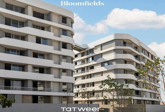 7911544 - صورة العقار 2