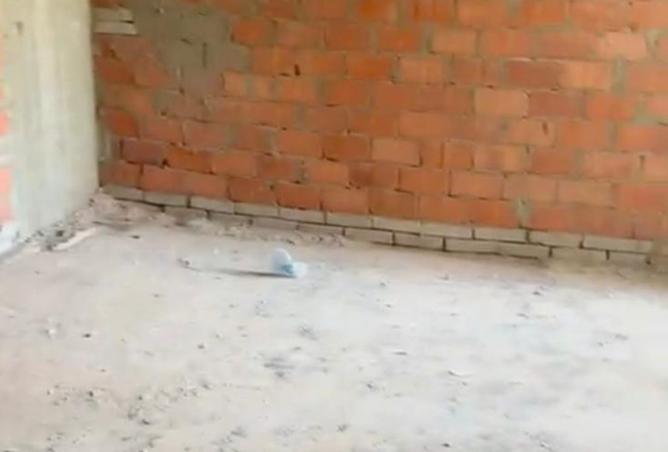 8270415 - صورة العقار 3