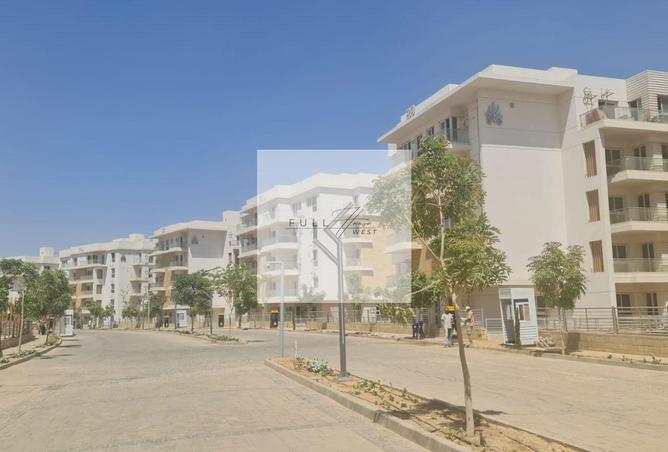 7927777 - Property Image 2