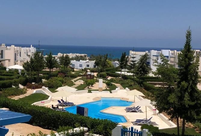 7913896 - صورة العقار 3