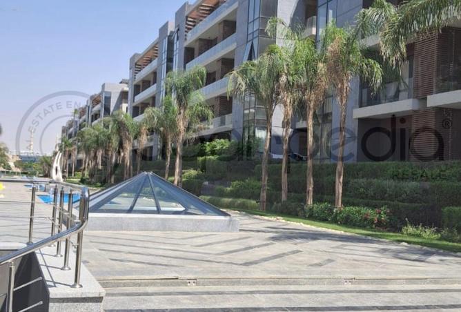 7916143 - صورة العقار 3