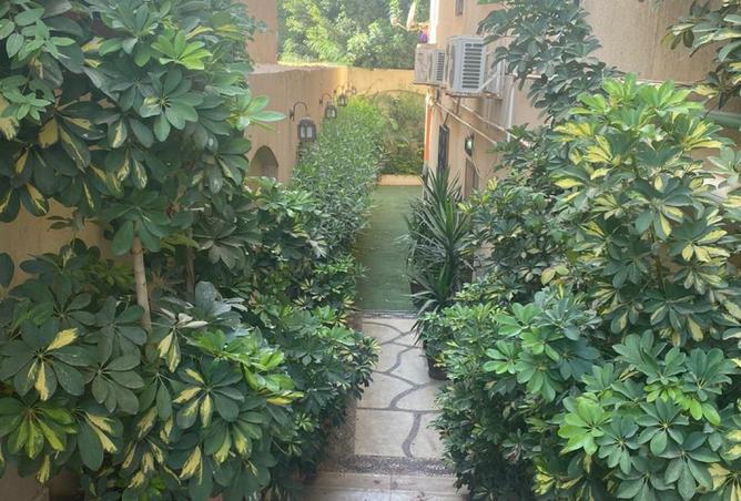 8177218 - صورة العقار 3