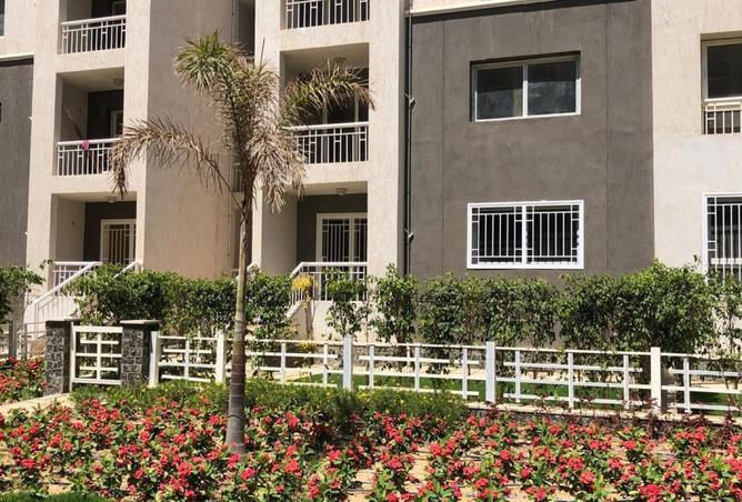 7916740 - صورة العقار 3