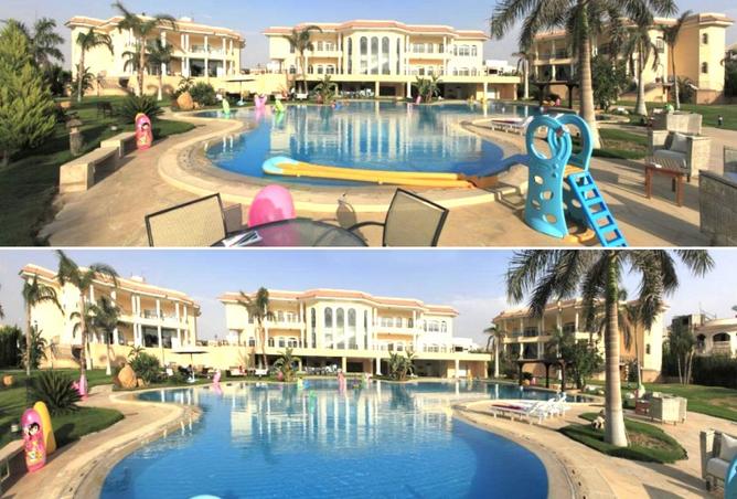 7919805 - صورة العقار 2