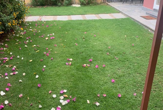 8362436 - Property Image 3