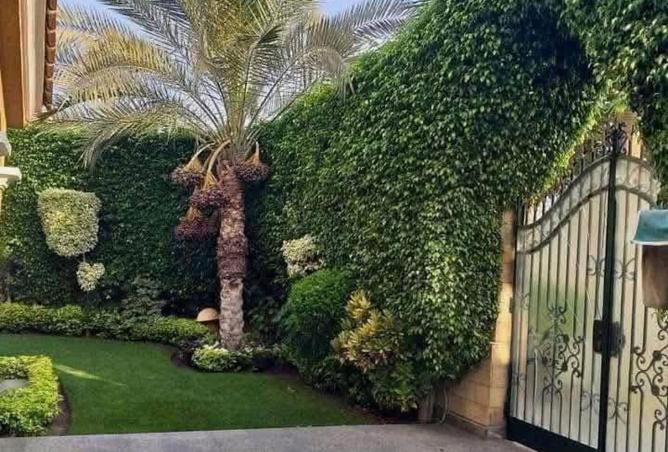 8086220 - صورة العقار 3