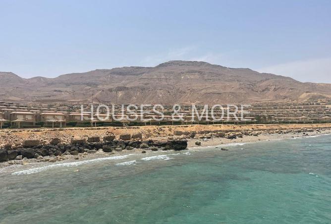 7920377 - صورة العقار 2