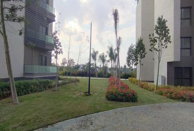 7921035 - صورة العقار 2