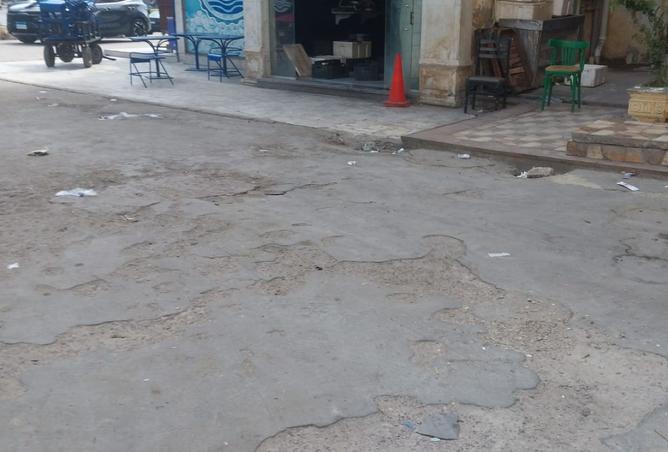 7923817 - Property Image 3