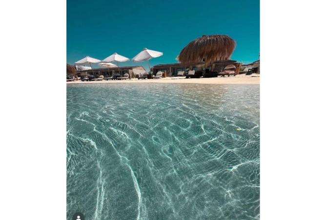 7950357 - صورة العقار 3