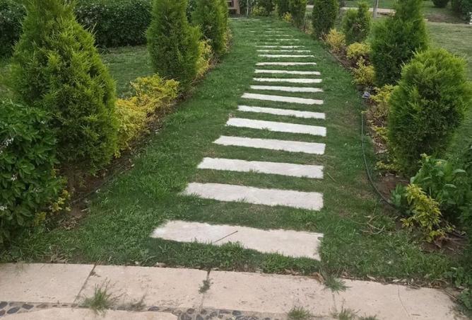 7927490 - صورة العقار 2