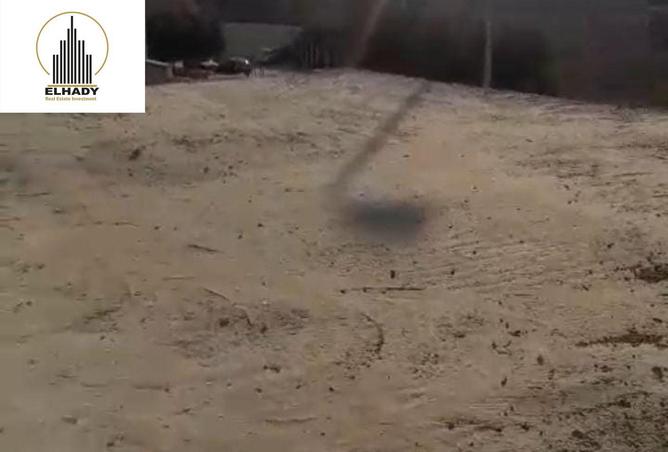 7929319 - صورة العقار 2