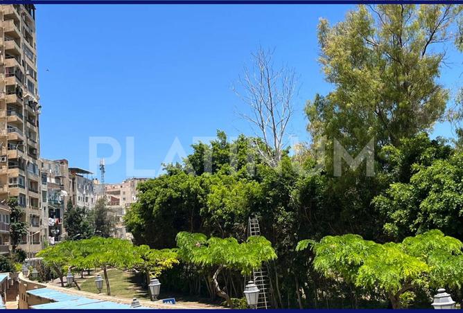 7930232 - صورة العقار 3