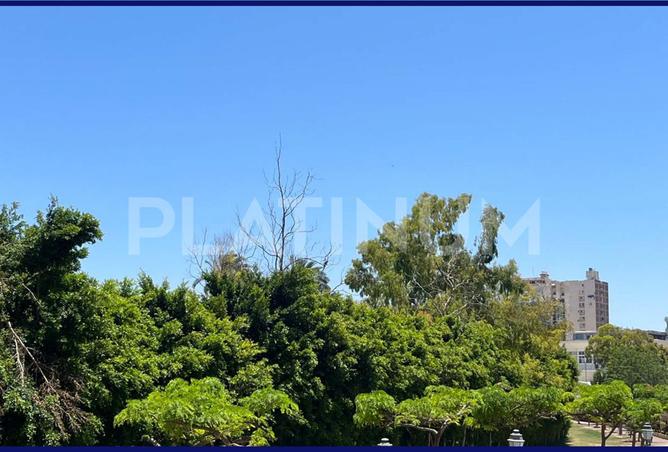 7930232 - صورة العقار 2