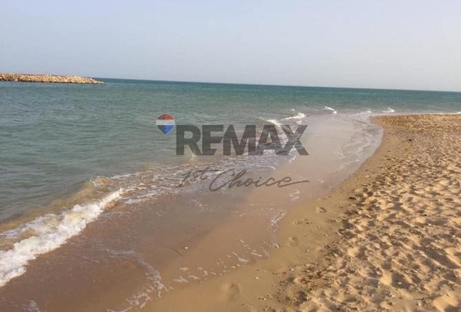 7930970 - صورة العقار 2