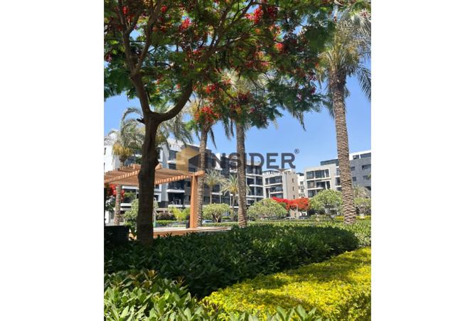 8382579 - Property Image 3