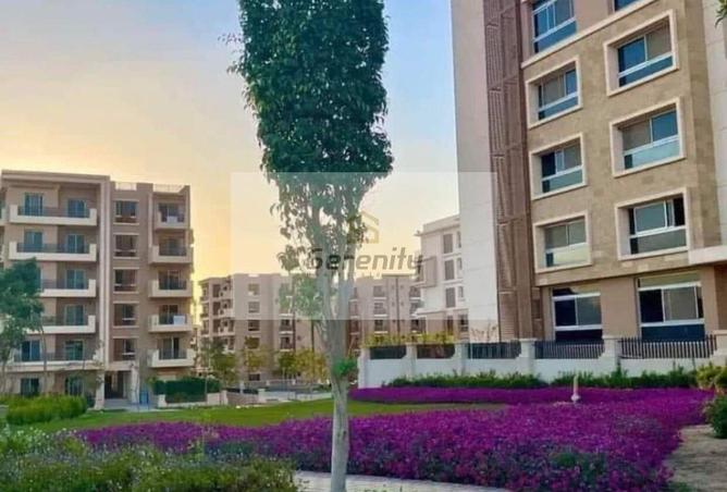 8186065 - صورة العقار 2