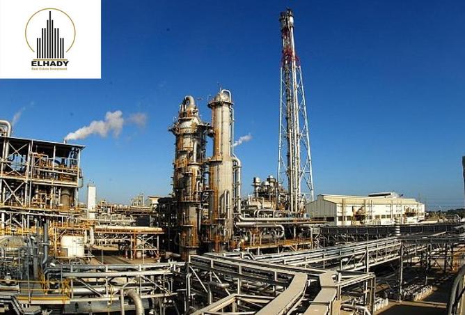 7932364 - صورة العقار 2