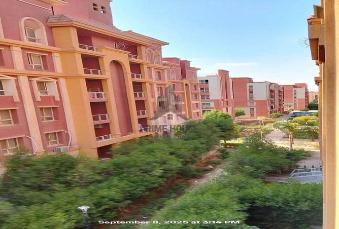 7933998 - صورة العقار 3