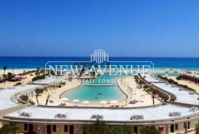 8297136 - Property Image 3