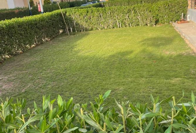 7935168 - Property Main Image