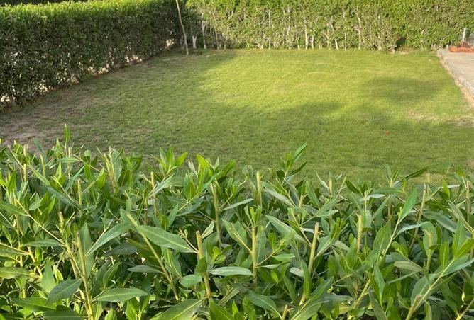 7935168 - Property Image 3