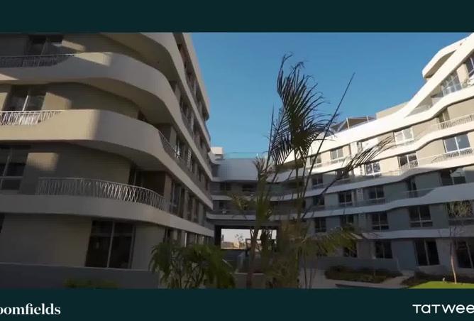 7937188 - صورة العقار 2