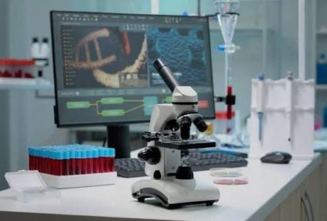 7935922 - صورة العقار 3