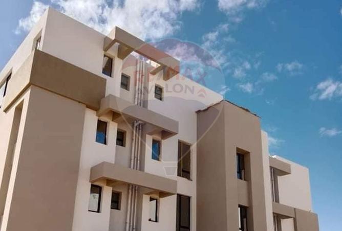 7937616 - Property Image 3