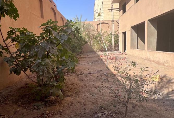 7938026 - صورة العقار 2