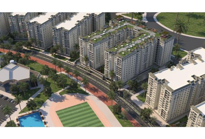 80261091 - Property Image 3