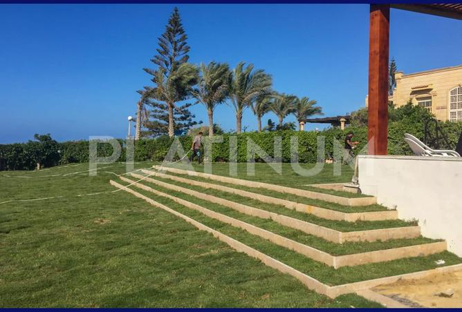 7939620 - صورة العقار 2