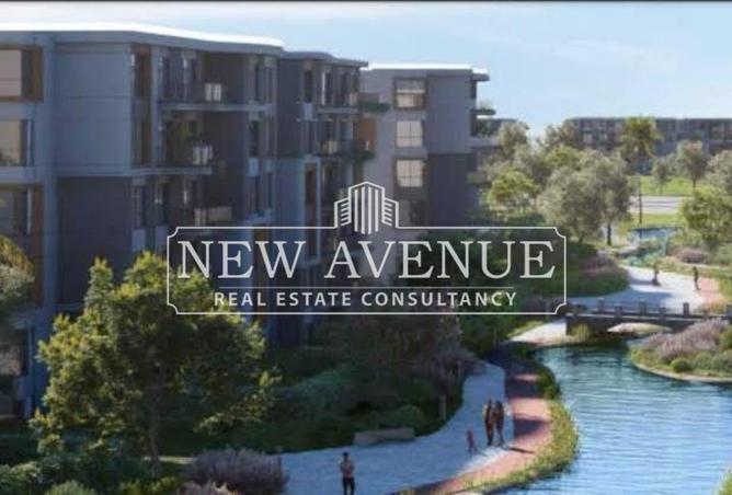 8260633 - Property Image 3