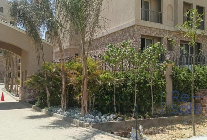 7956688 - صورة العقار 2