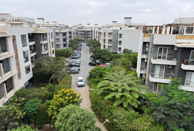 7941987 - صورة العقار 3