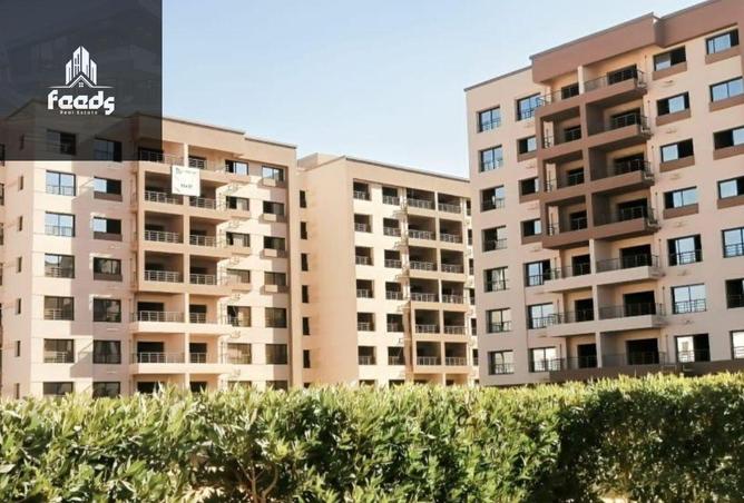 8063827 - صورة العقار 3