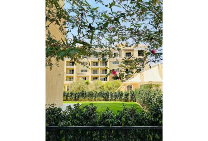 7946799 - Property Image 3