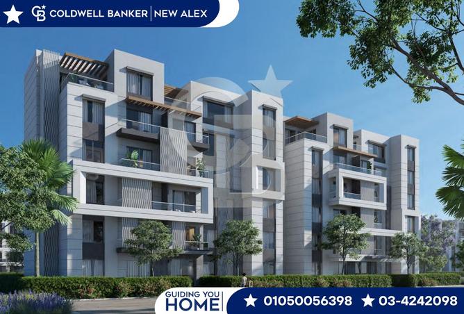 7946855 - Property Image 3